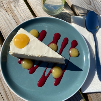 Trowel & Hammer, Cotton